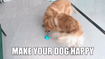 Leaced GIF
