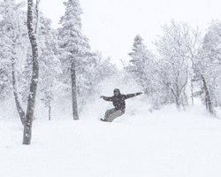Sugarloaf Mountain GIF