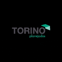 Torino GIF by TorinoPlanejados