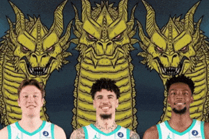 Charlotte Hornets H GIF