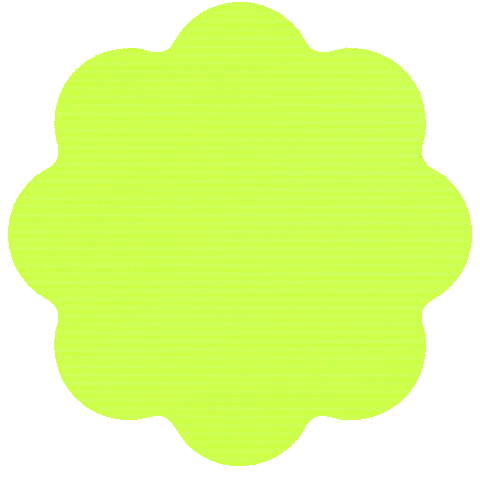 Queens University Rugby Sticker by Queens University of Charlotte Athletics