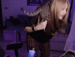 Cat Streamer GIF