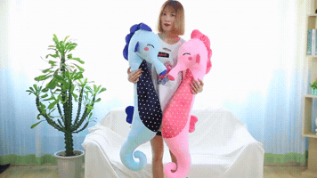 Seahorse Toy GIF
