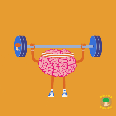 Malama Mushrooms GIF