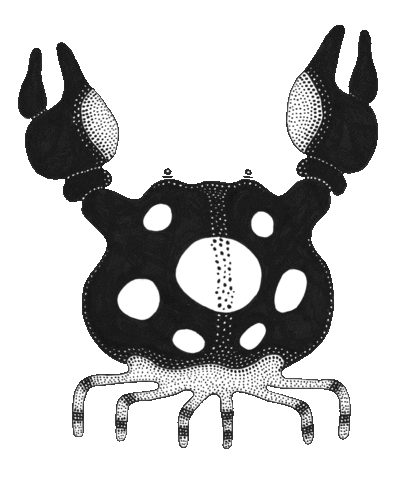 The Soap and the Sea Sticker