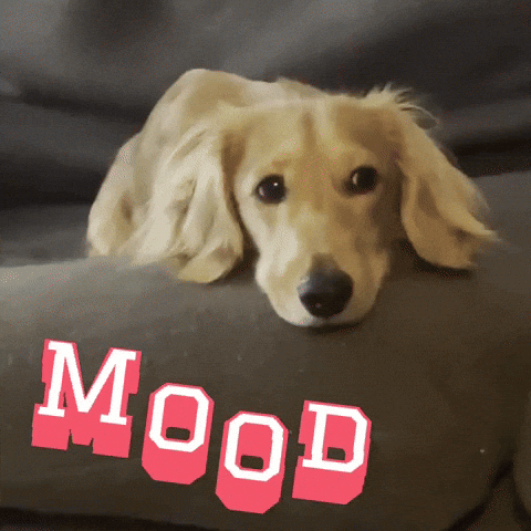 Go Away Mood GIF