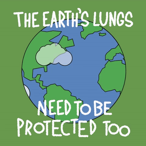 Sea Celebrate Gif By World Ocean Day Find Share On Giphy