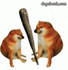 GIF