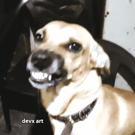 Happy Dog GIF by DevX Art
