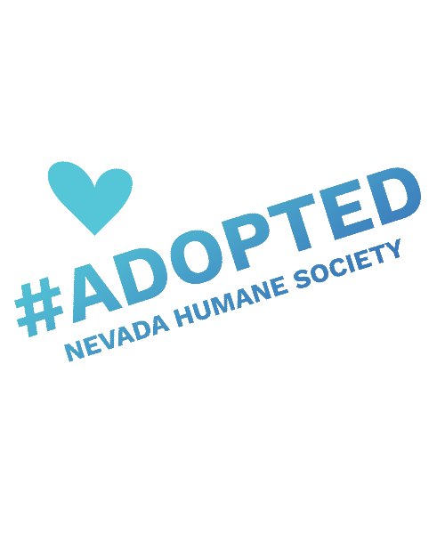 Nhs Adopt Sticker by Nevada Humane Society