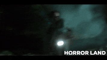 Woods GIF