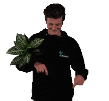Richplant Sticker