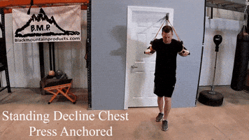 Standing Decline Chest Press GIF