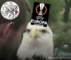 League Conference GIF