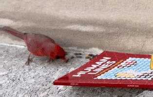 Alb Cell GIF by Cure Concept