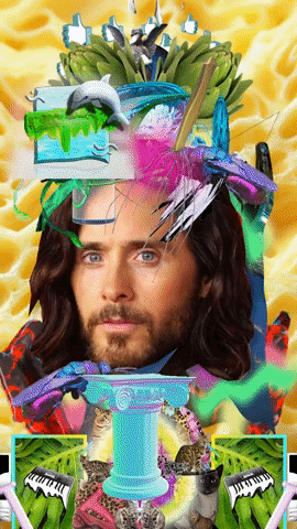 Jared Leto Wtf GIF by Anne Horel