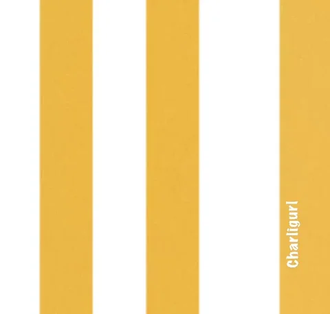 Inspiring GIF by Charli Gurl