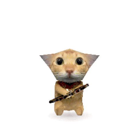 Cat GIF