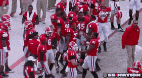 go dawgs