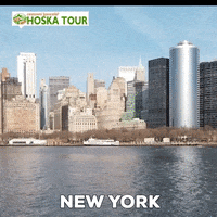 New York Usa GIF by CK HOŠKA TOUR