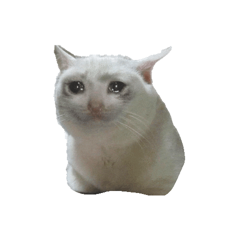 Sad Cat Dance Sad Cat Meme GIF - Sad Cat Dance Sad Cat Meme Made