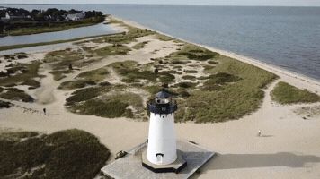 Marthas Vineyard Beach GIF by Lissiland