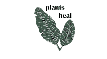 Healer Collective Sticker