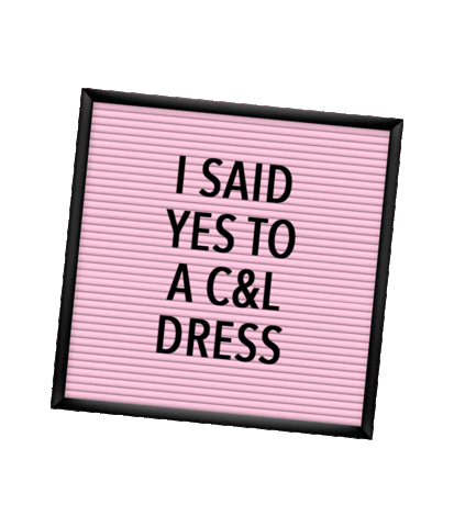 Champagne & Lace Sticker