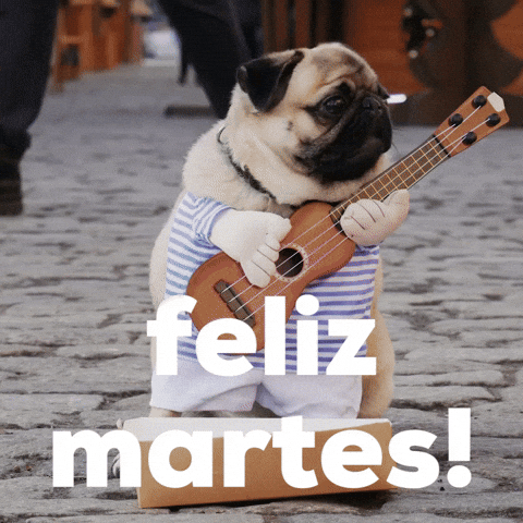 Hola-amigo-feliz-martes GIFs - Get the best GIF on GIPHY