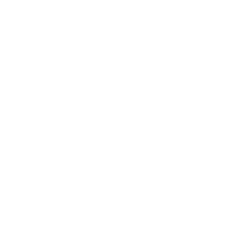 Solo60 Sticker