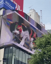 Giant 3D Cat Makes for Purr-plexing Sight Near Tokyo Train Station