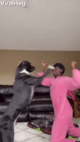 Thats-hilarious GIFs - Get the best GIF on GIPHY