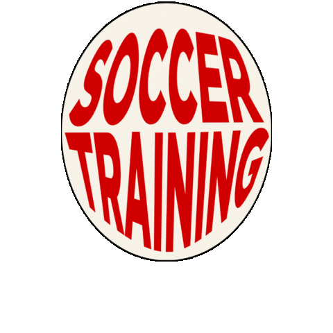 Flying Bats Football Club Sticker