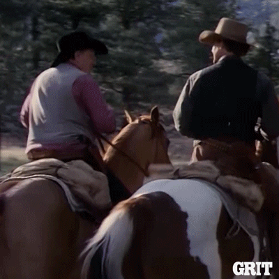 On My Way Horses GIF by GritTV