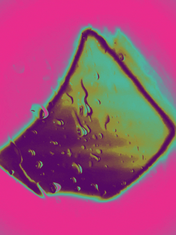 Loop GIF