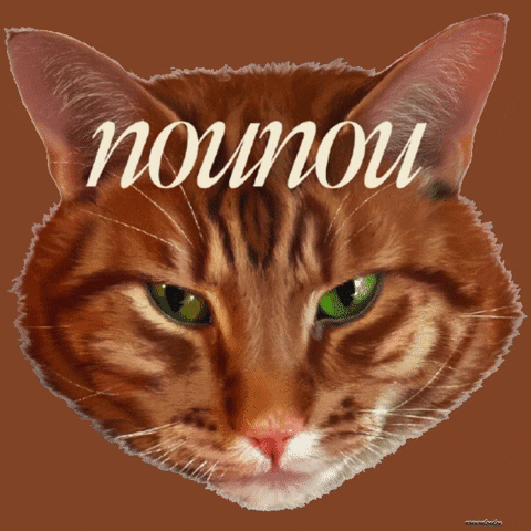 nounoulondon GIF