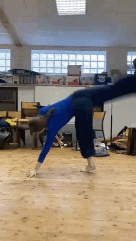 Balkan GIF by amfifanfare