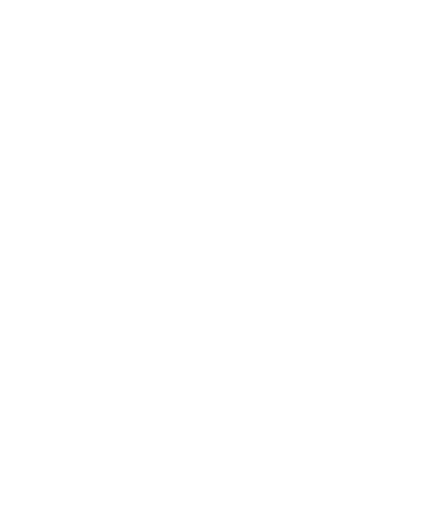 Rijnijssel Sticker