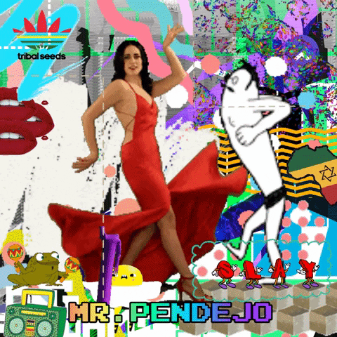 Mr Pendejo GIF by Oddcity