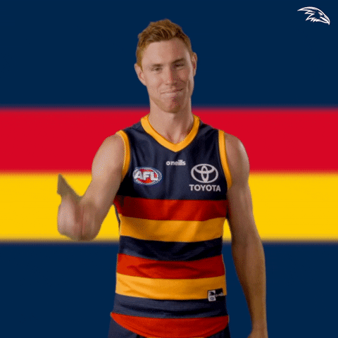 Afl No GIF by Adelaide Crows