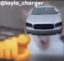 Point And Laugh GIF
