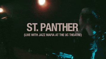 Concert Performance GIF by St. Panther