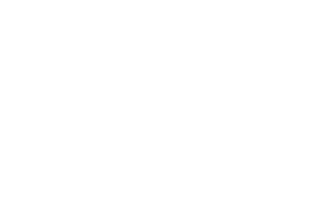 Ace Indonesia Sticker