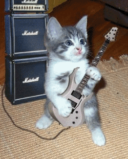 Guitare Gifs Get The Best Gif On Giphy