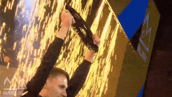 Winner Esports GIF by BASILISK Research