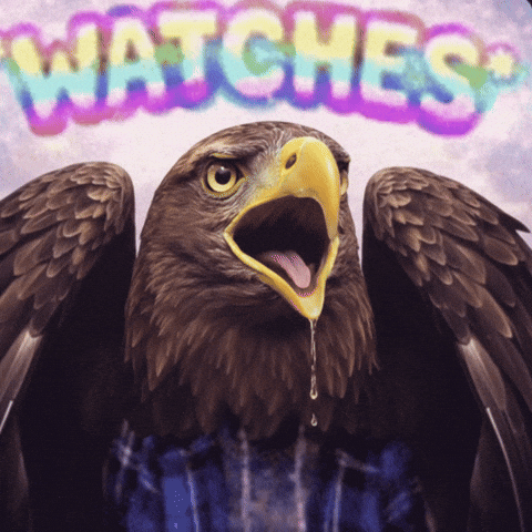 Watch Staring GIF
