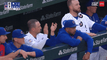 Chicago Cubs Baseball GIF