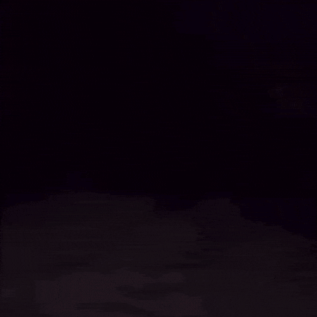 Cat Friend GIF