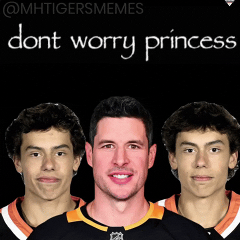 Pittsburgh Penguins GIF