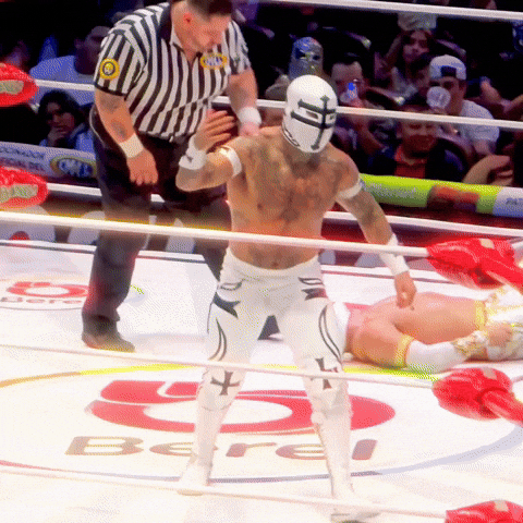 Lucha Libre Wrestling GIF